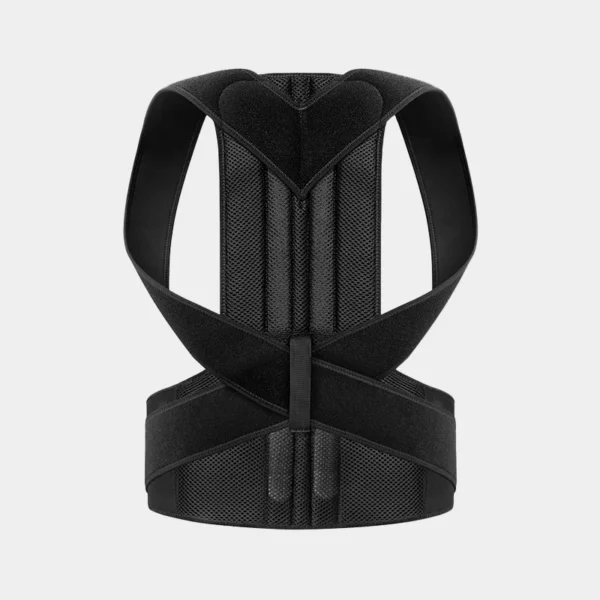 ABF15 Posture Corrector (1) ABF15 | Posture Corrector